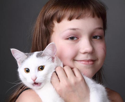 Pets can often be described as being close to a person's heart.