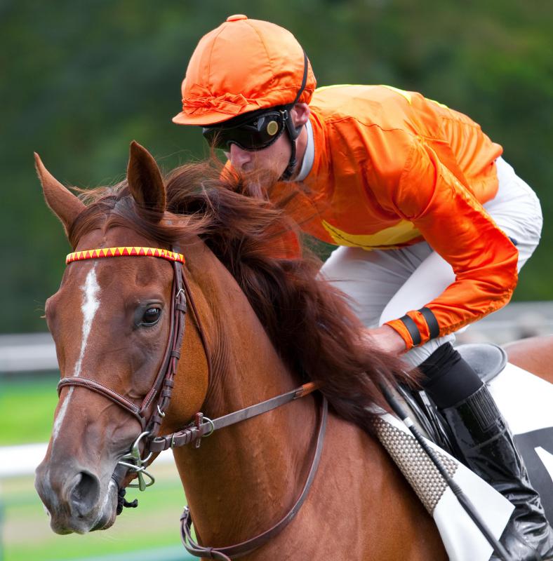 What Does It Mean to Be "HotBlooded"? (with pictures)