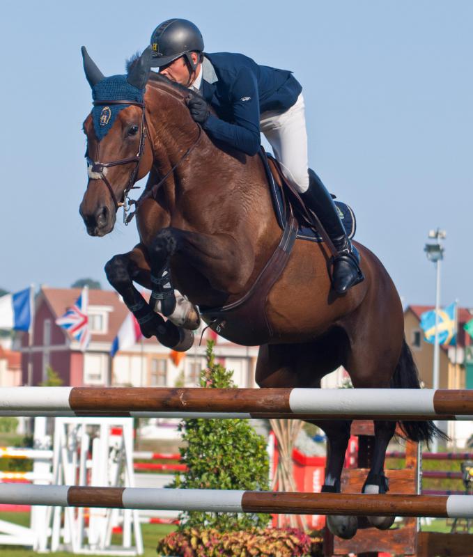 What Does It Mean to Be "HotBlooded"? (with pictures)