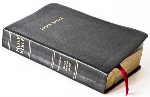 There are hundreds of study Bibles in the English language in numerous translations.