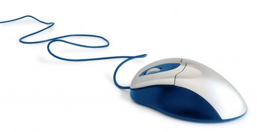 The native French term for "mouse," souris, is now used to refer to a computer mouse.