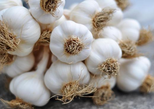 According to vampire mythology, garlic can be used to slay the creatures.