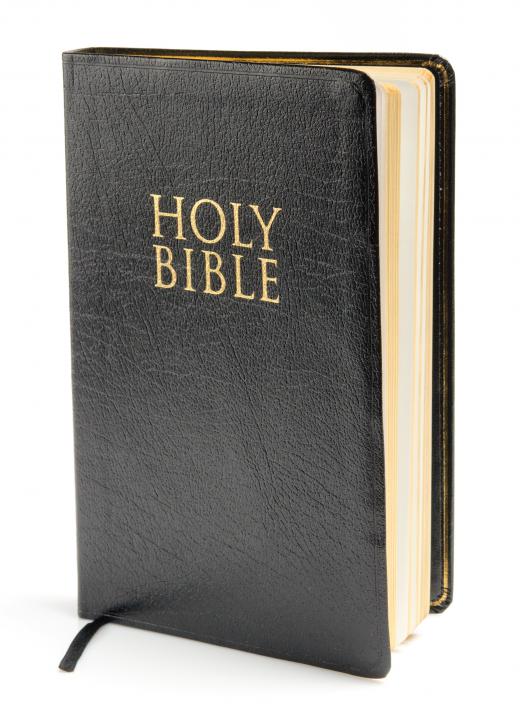 A Bible.