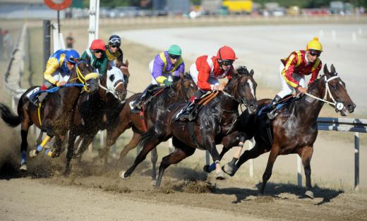 Races that end in a tie are referred to as a dead heat.